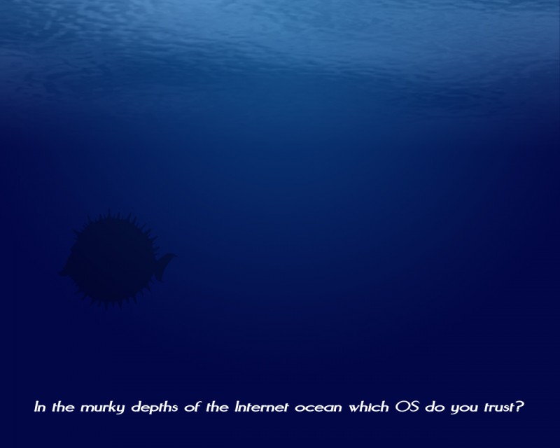 internet_ocean_safe.jpg