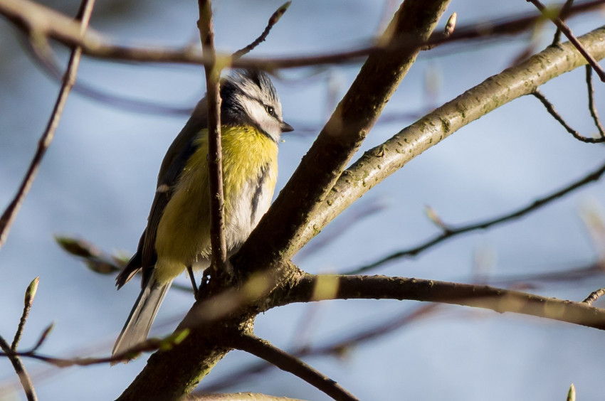 Słowa kluczowe: natura, nature