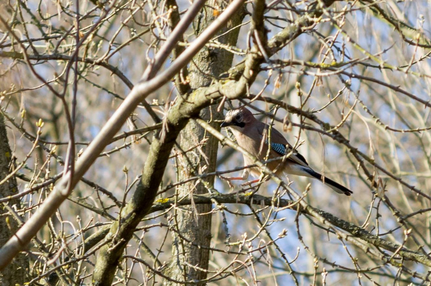 Słowa kluczowe: natura, nature