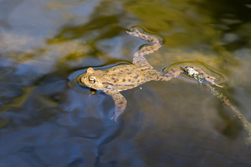 Słowa kluczowe: natura, nature, 20