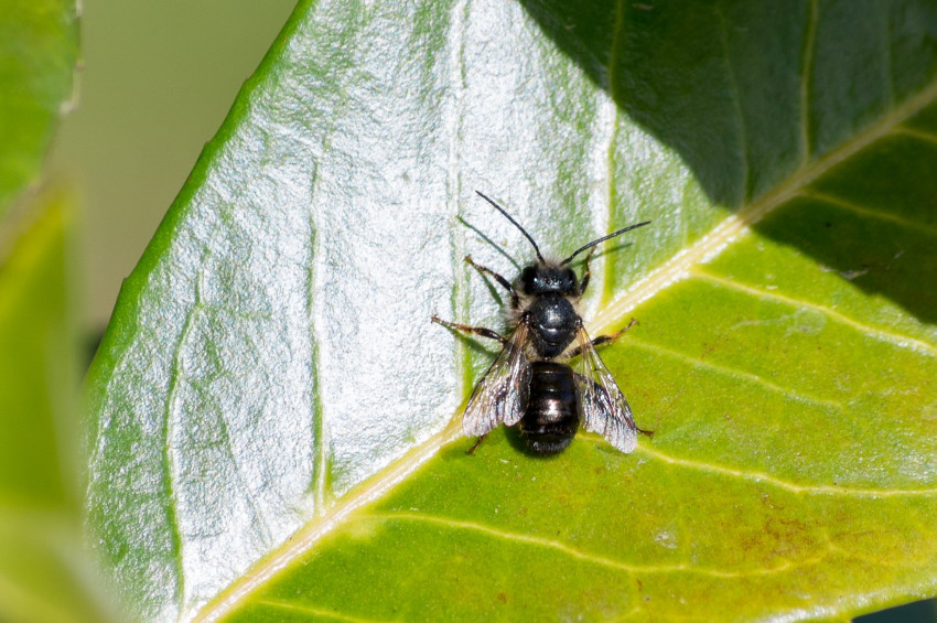 Słowa kluczowe: natura, nature, 2018