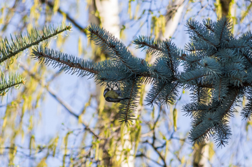 Słowa kluczowe: natura, nature, 2018