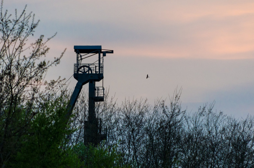 Słowa kluczowe: natura, nature, 2018