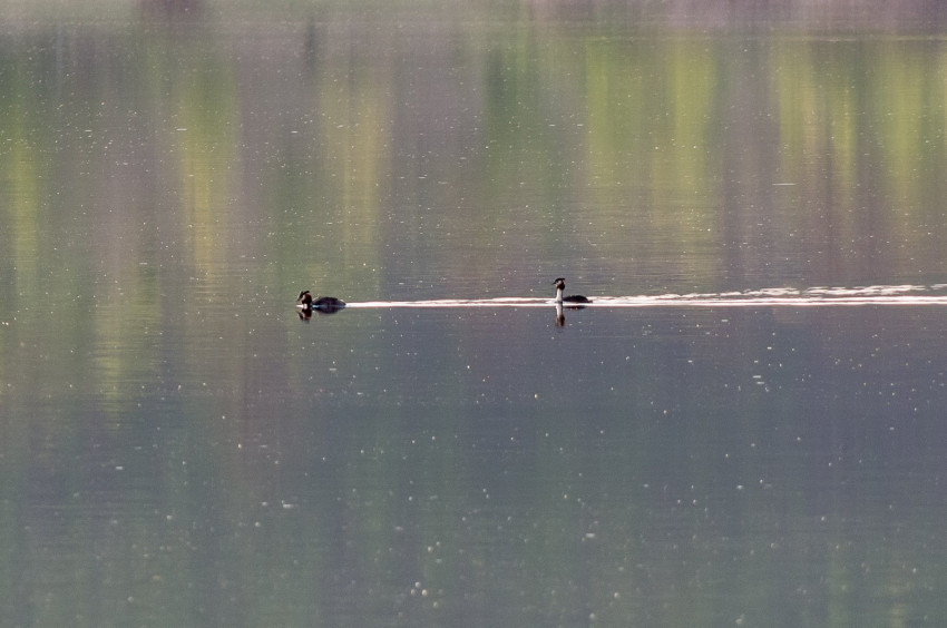 Słowa kluczowe: natura, nature, 2018