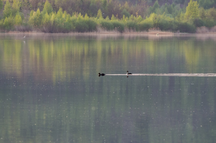 Słowa kluczowe: natura, nature, 2018