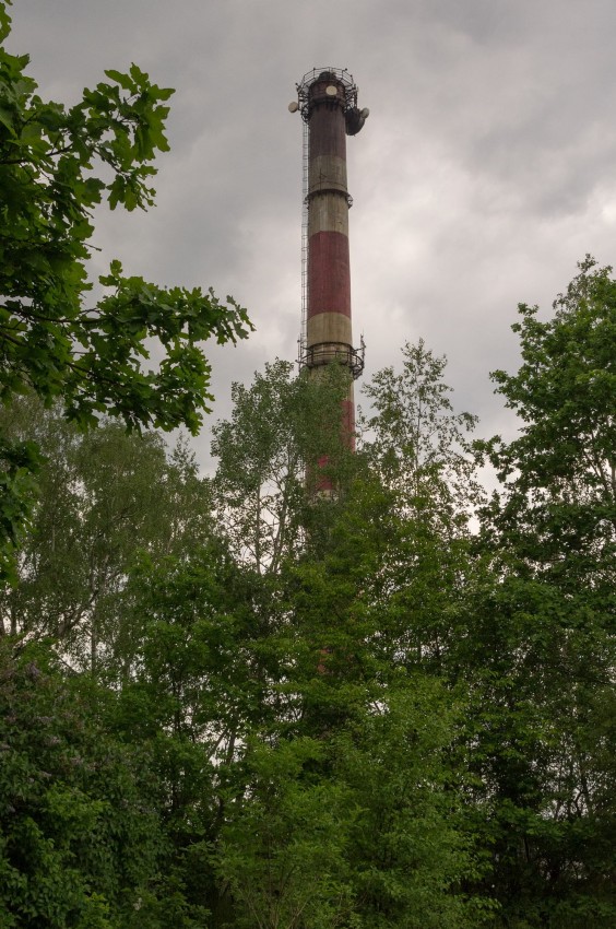_IGP4293.jpg