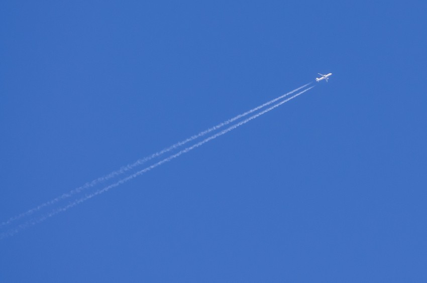 _IGP7237.jpg