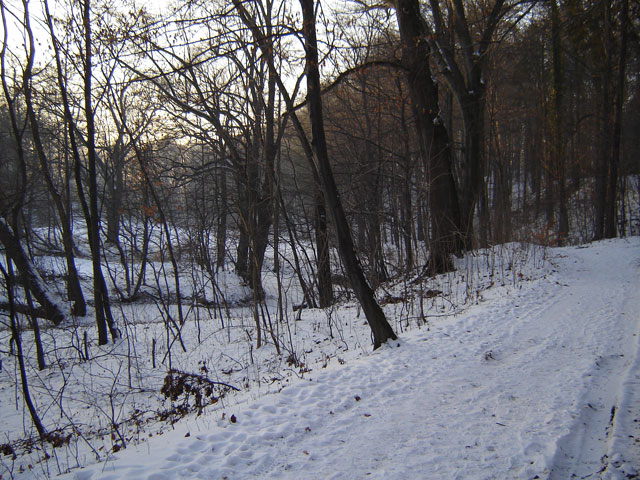 park-zima-02.jpg