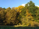 IMG_20161023_151712.jpg