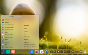 Deepin Desktop Fedora 32